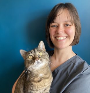 female veterinary surgeon in grey scrub top with tabby cat